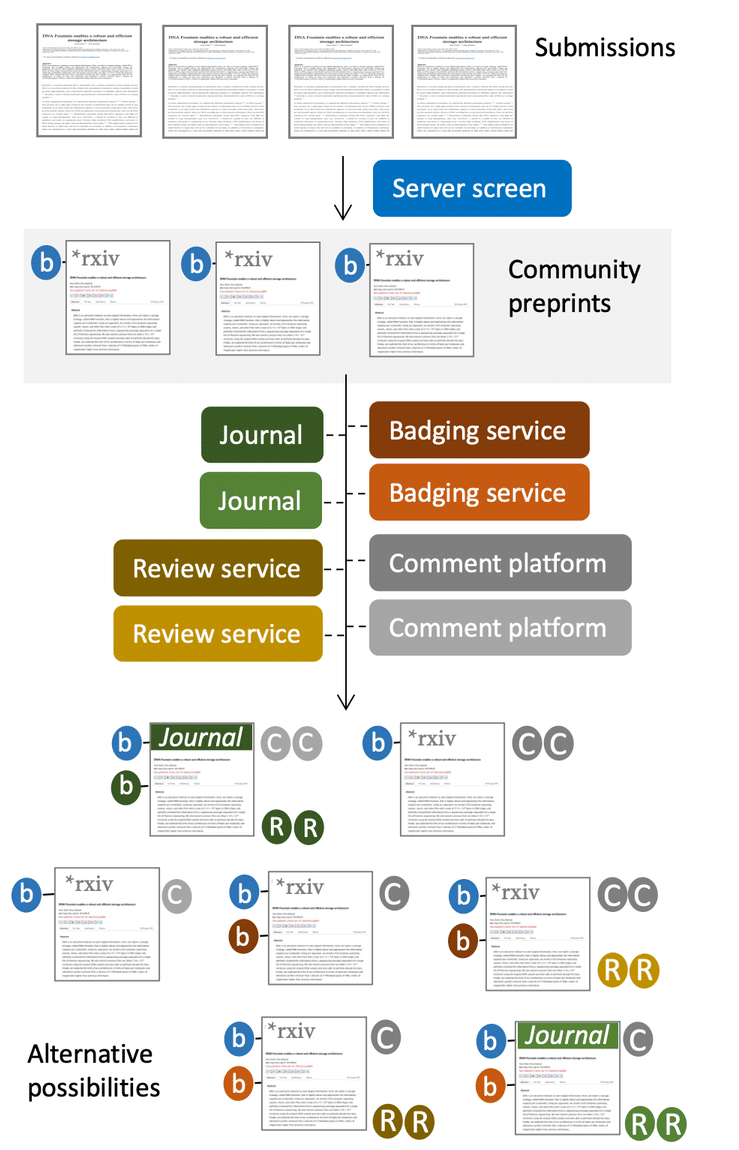 Workflow of manuscript submission through to posting and engagement. The elements include a server screening, community preprints, journals and badging services, comment platforms, review services, and alternative possibilities.